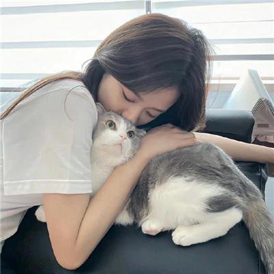 空中飞鸟